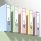 5 Colour File Boxes Two Spine Widths Set | StorageOZ