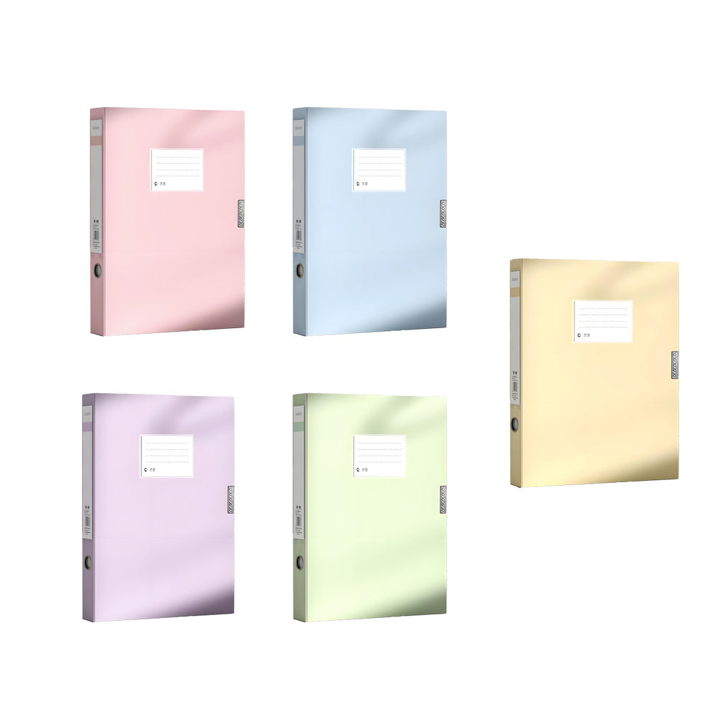 5 Colour File Boxes Two Spine Widths Set | StorageOZ