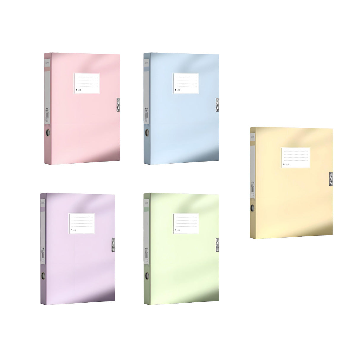 5 Colour File Boxes Two Spine Widths Set | StorageOZ