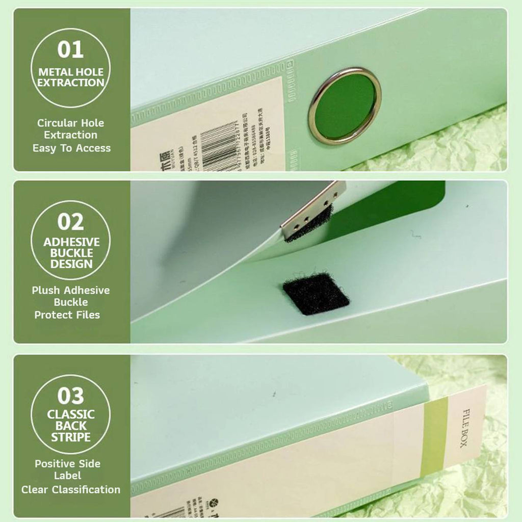 5 Colour File Boxes Two Spine Widths Set | StorageOZ