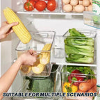 5 Pcs Clear Storage Boxes Two Sizes Rack | StorageOZ