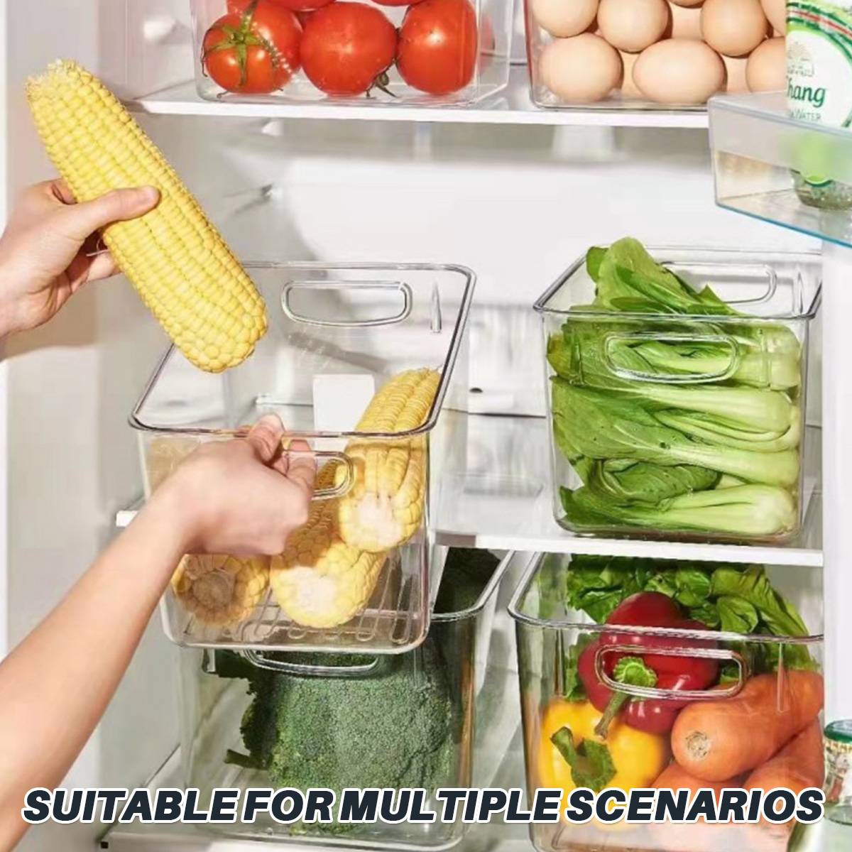 5 Pcs Clear Storage Boxes Two Sizes Rack | StorageOZ