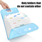 2 Pcs File Bags Two Colours Organiser Set | StorageOZ
