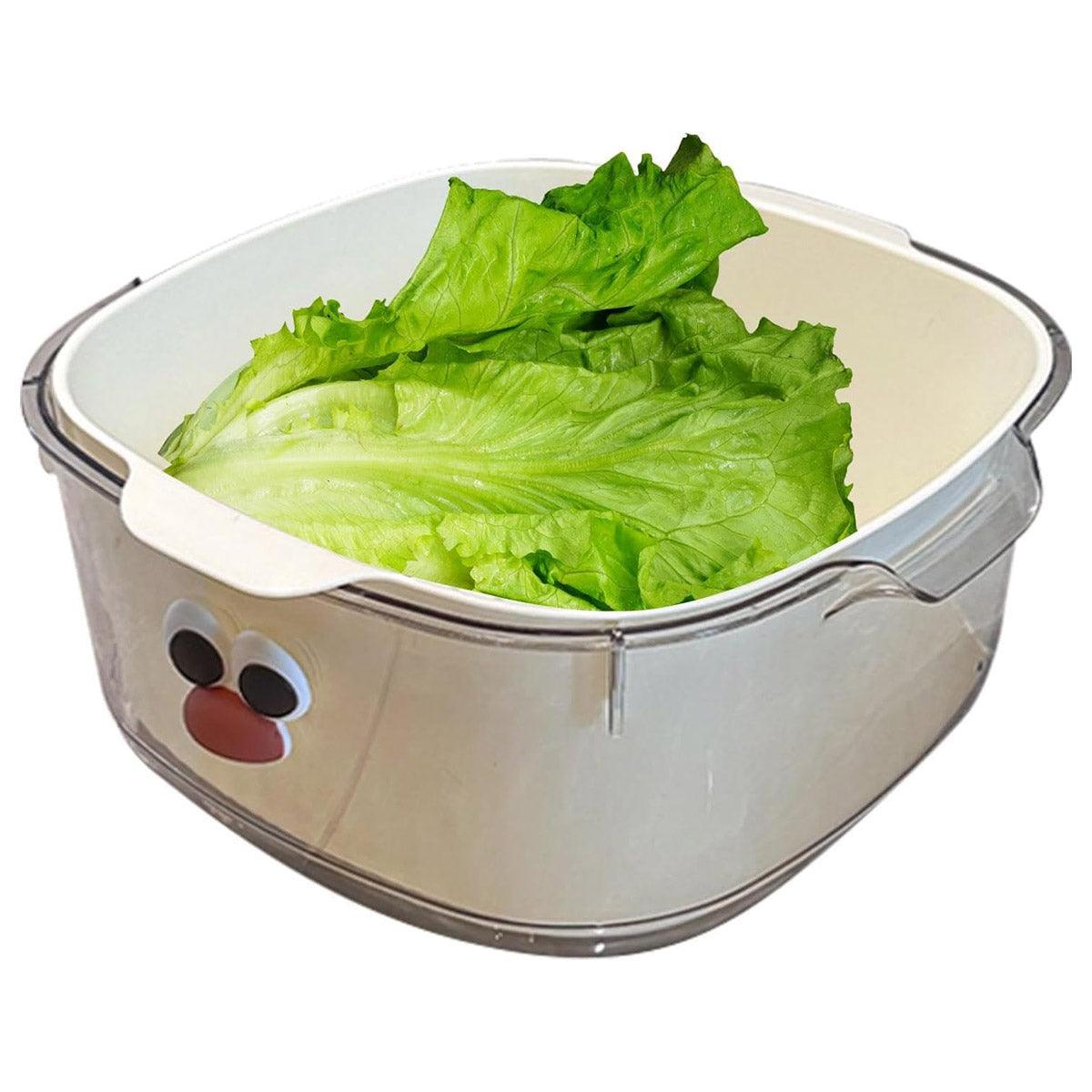 Double Layer Fruit Drain Basket Four Colours | StorageOZ