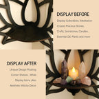 Lotus Shaped Wooden Wall Display Shelf Set | StorageOZ