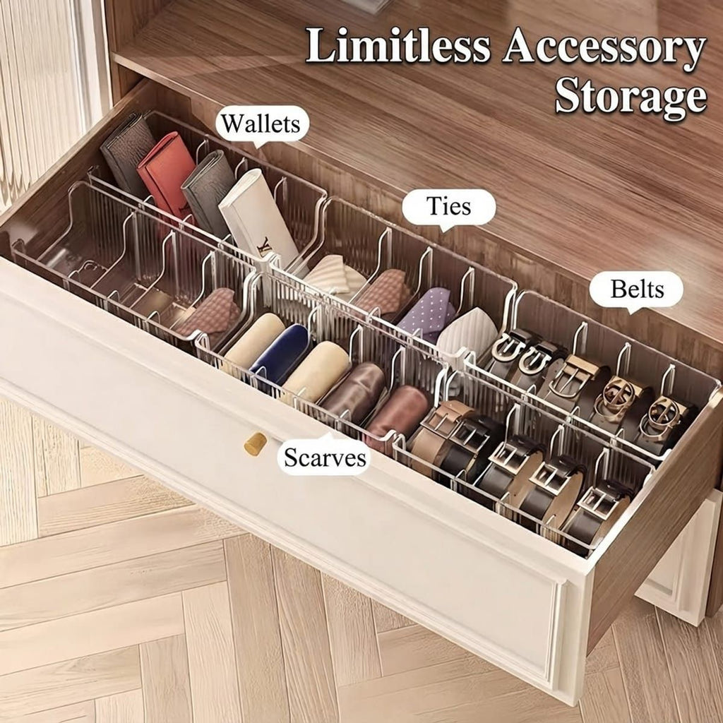 2 Pcs Belt Storage Boxes Closet Organiser | StorageOZ