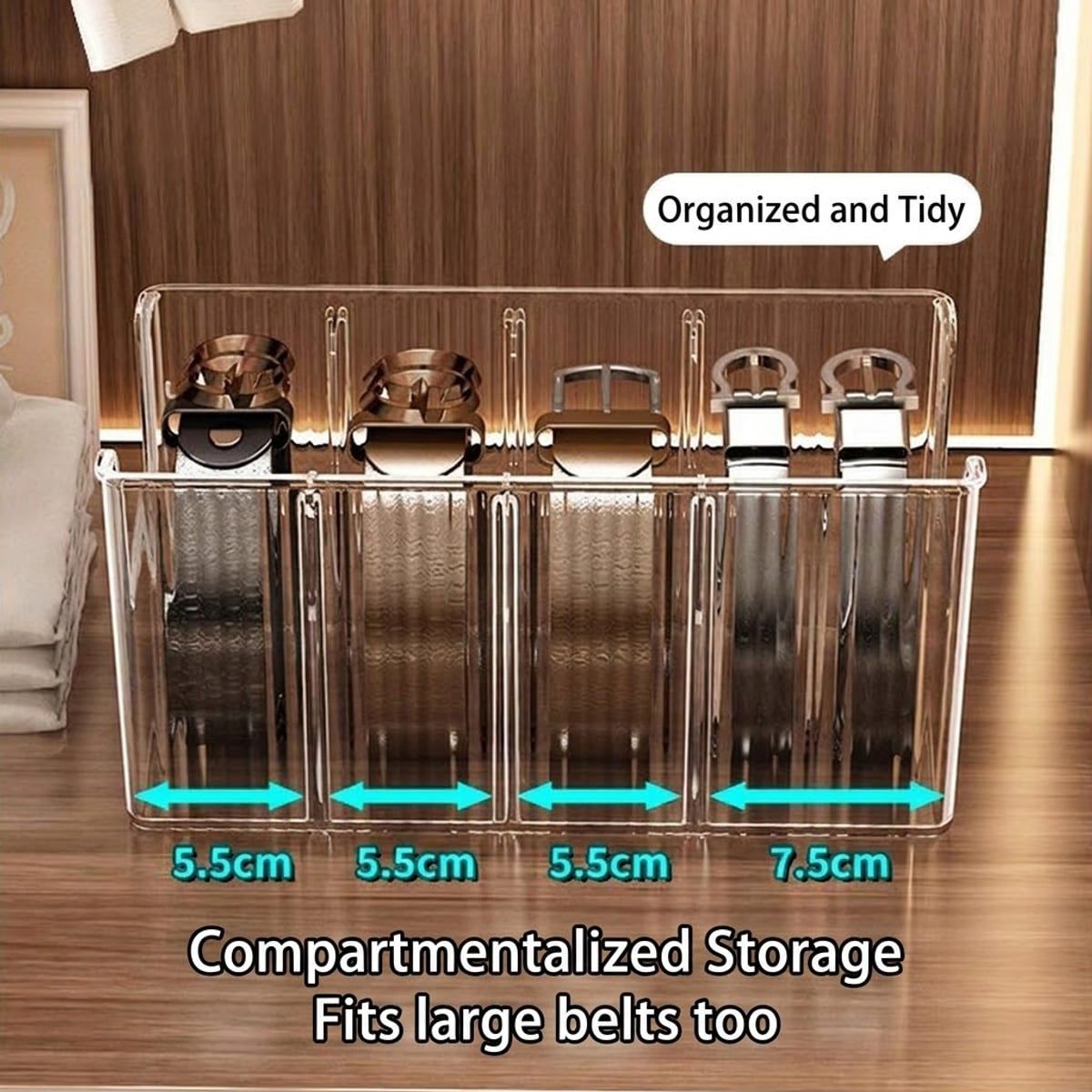 2 Pcs Belt Storage Boxes Closet Organiser | StorageOZ