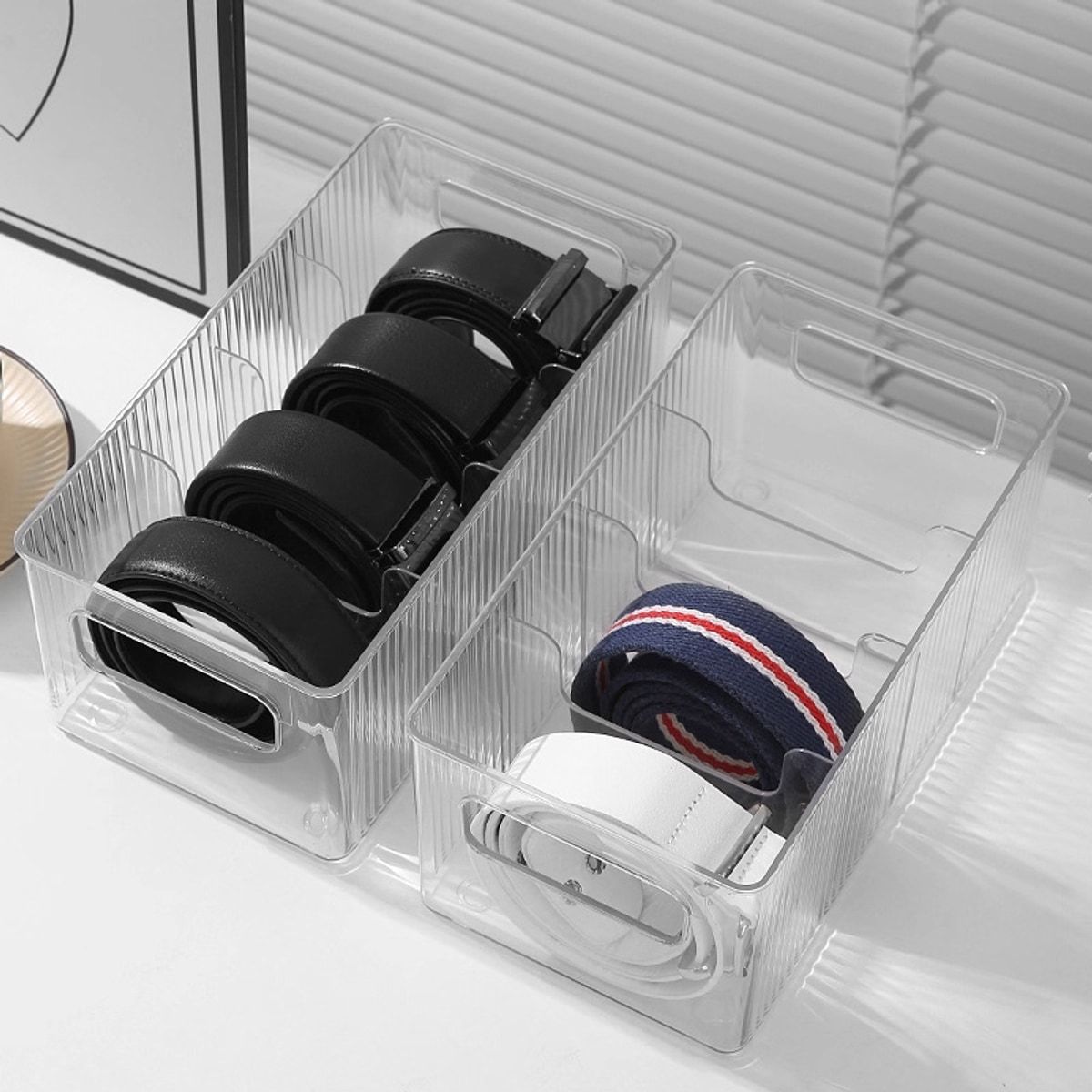 2 Pcs Belt Storage Boxes Closet Organiser | StorageOZ