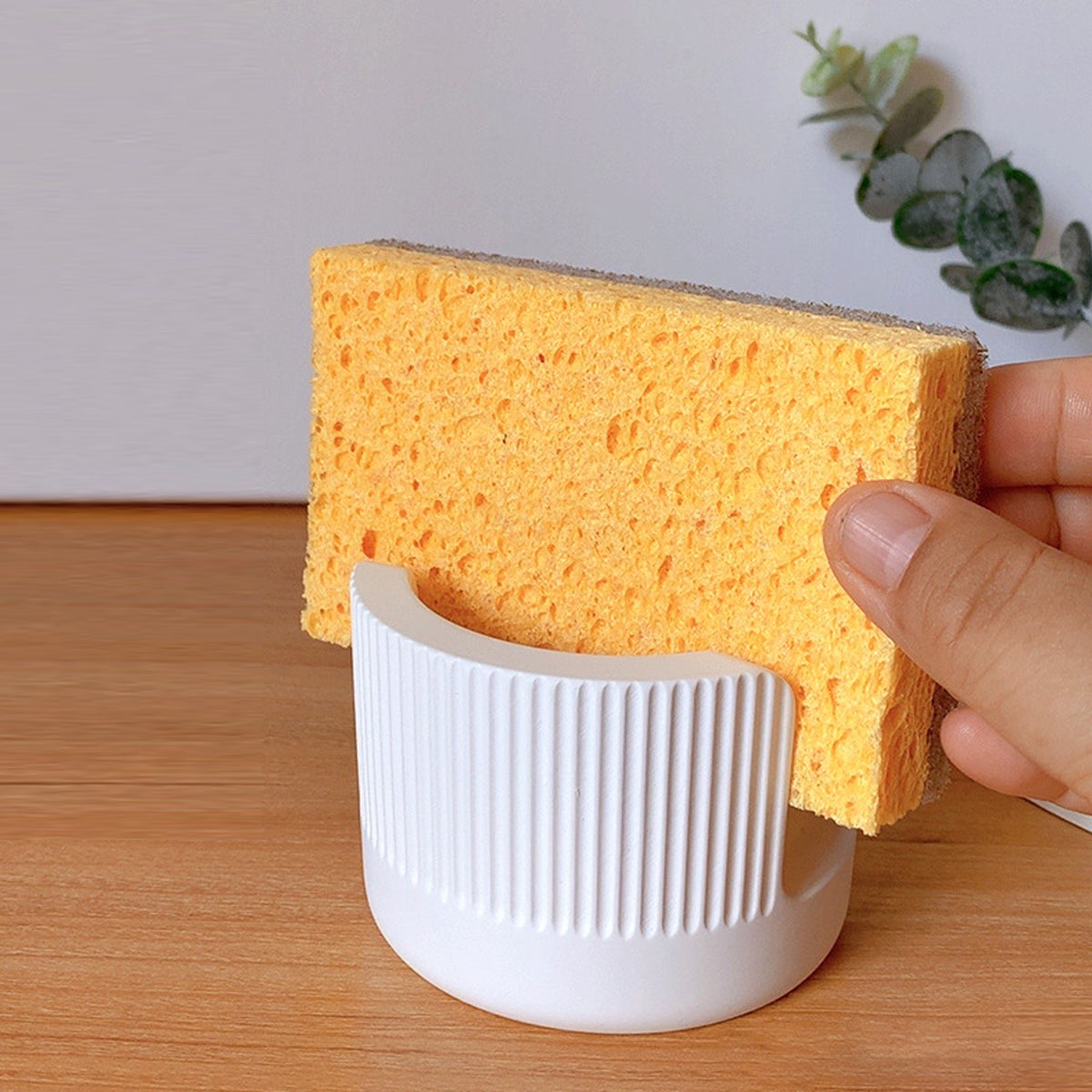 Round Diatomite Sponge Holder Two Sizes Set | StorageOZ