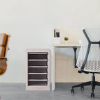 Clear Front File Cabinet Two Heights Set | StorageOZ