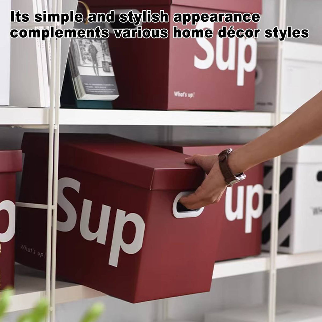 File Storage Boxes Two Counts Home Organiser | StorageOZ