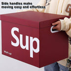 File Storage Boxes Two Counts Home Organiser | StorageOZ
