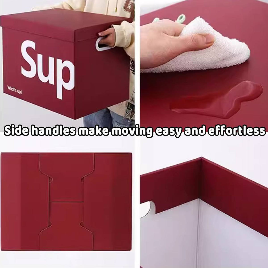 Small File Boxes Two Counts Home Organiser | StorageOZ