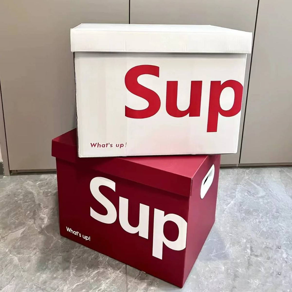 File Storage Boxes Two Counts Home Organiser | StorageOZ
