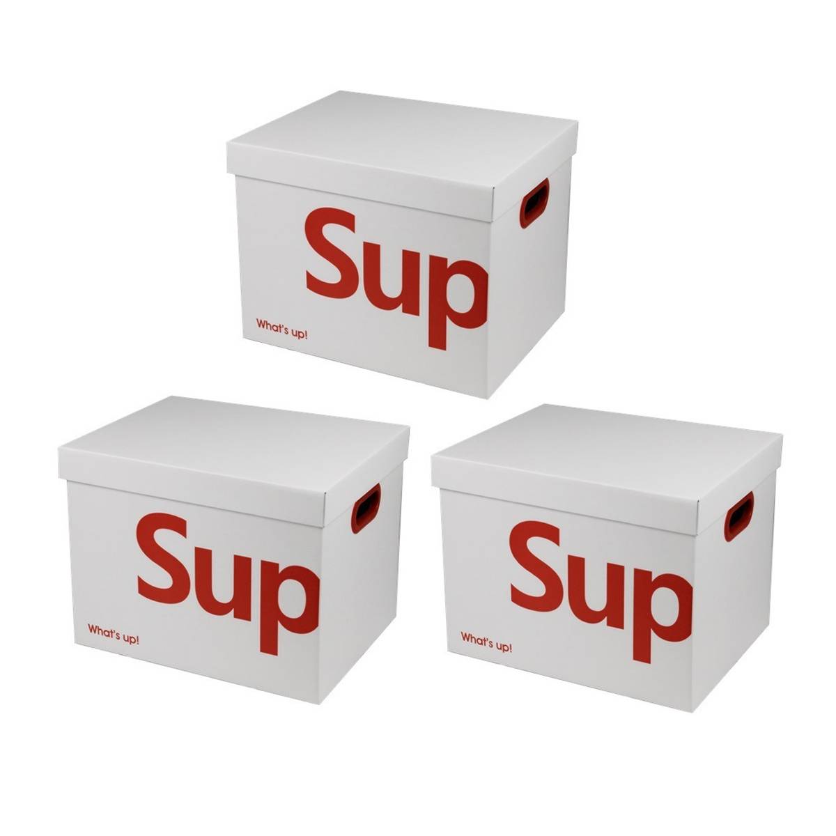 File Storage Boxes Two Counts Home Organiser | StorageOZ