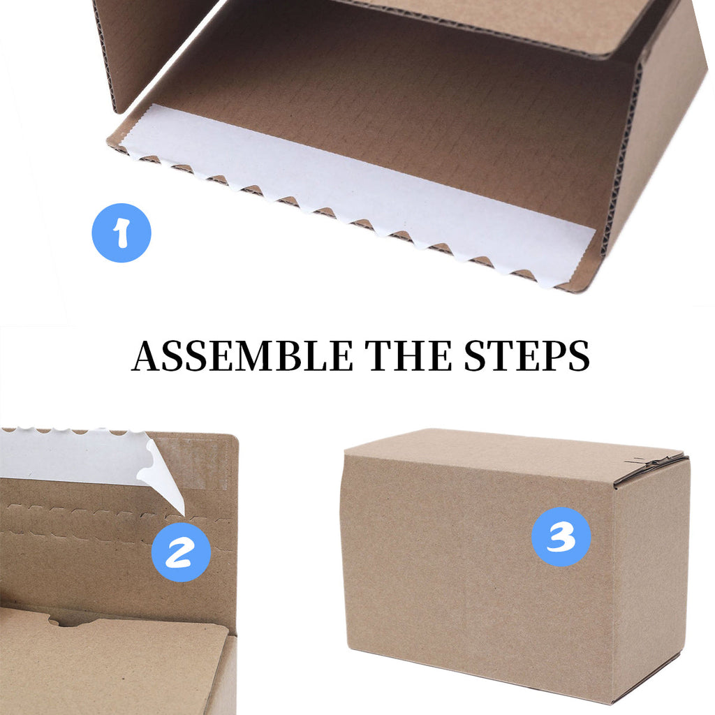 Zip Storage Boxes Several Counts Organiser | StorageOZ