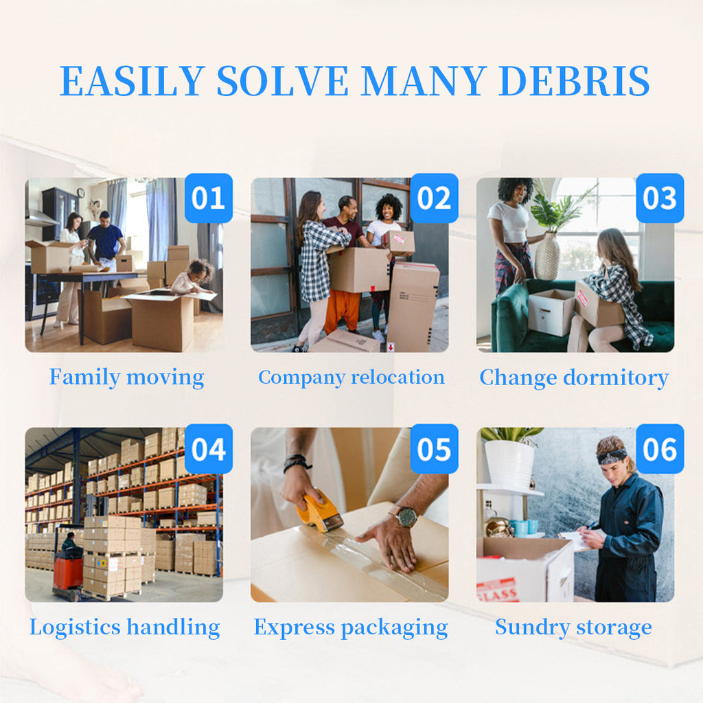 Zip Storage Boxes Several Counts Organiser | StorageOZ