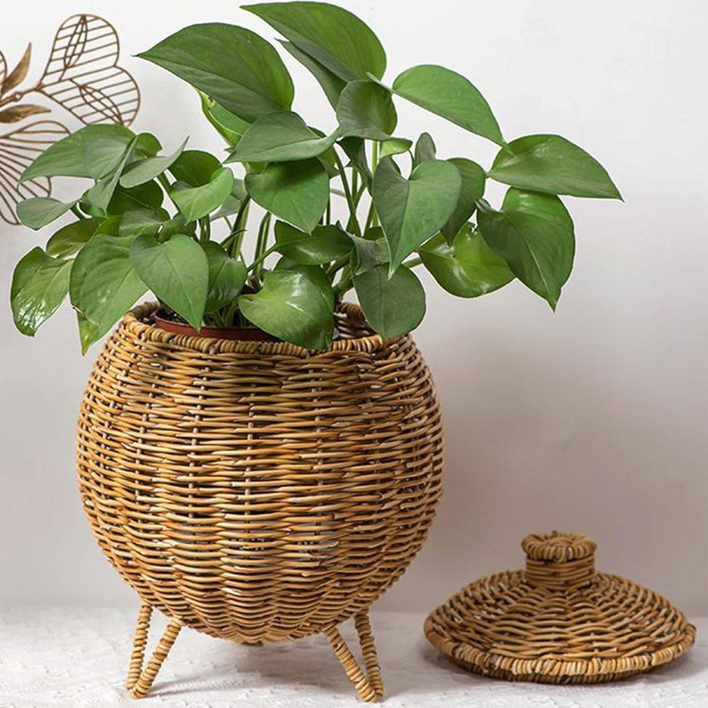 Lidded Rattan Style Basket With or Without Legs | StorageOZ
