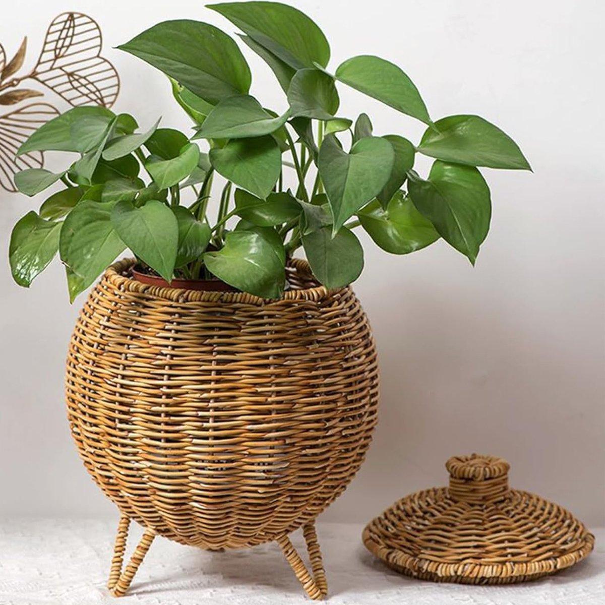 Lidded Rattan Style Basket With or Without Legs | StorageOZ