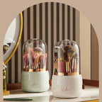Makeup Brush Holder with a Clear Dome Lid | StorageOZ