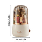 Makeup Brush Holder with a Clear Dome Lid | StorageOZ