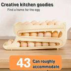Egg Storage Boxes Several Colours Organiser | StorageOZ