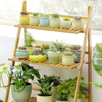 Plant Stands Three Styles Home Organiser | StorageOZ