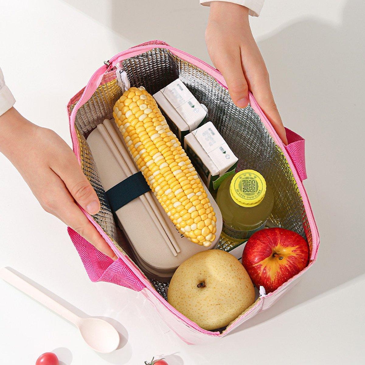 Lunch Boxes Several Colours Kitchen Organiser | StorageOZ