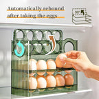 Egg Storage Boxes Two Colours Organiser Set | StorageOZ