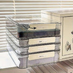 A4 Transparent File Storage Box Two Sizes | StorageOZ