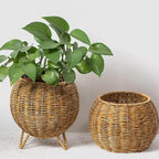 Lidded Rattan Style Basket With or Without Legs | StorageOZ