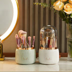 Makeup Brush Holder with a Clear Dome Lid | StorageOZ