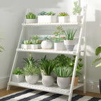 Plant Stands Three Styles Home Organiser | StorageOZ